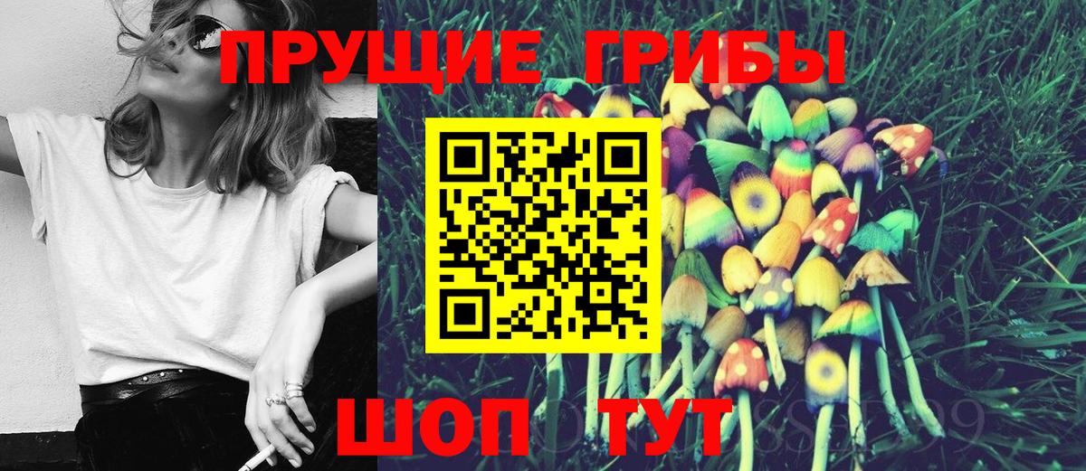 Псилоцибиновые грибы Cubensis Новочебоксарск