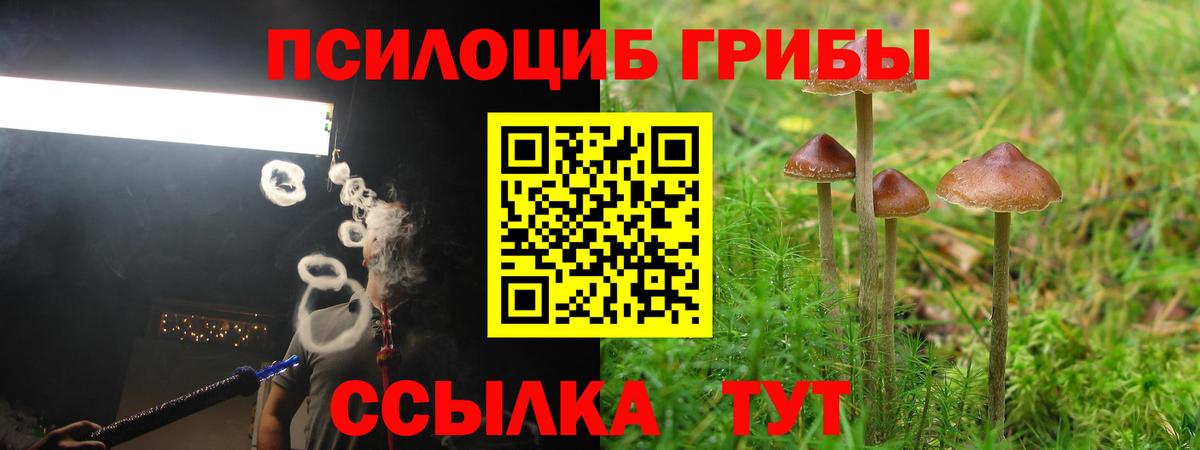 цены   Псилоцибиновые грибы мухоморы  Вход с VPN  Новочебоксарск 